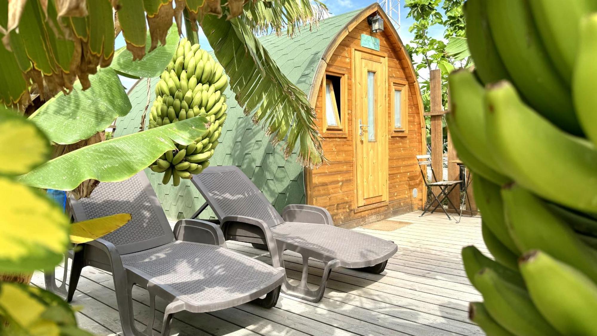 Lykke Suite Spa Sauna Piscina Y Jardin Buzanada Luaran gambar